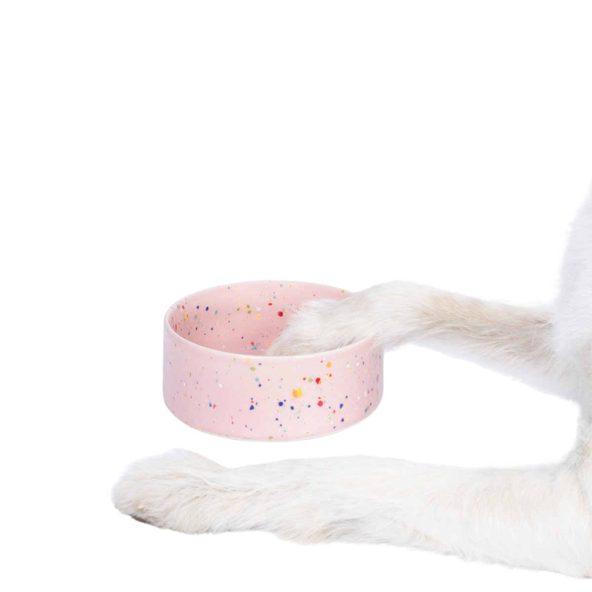 keramik-hundenapf-katzennapf-egg-back-home-party-16cm