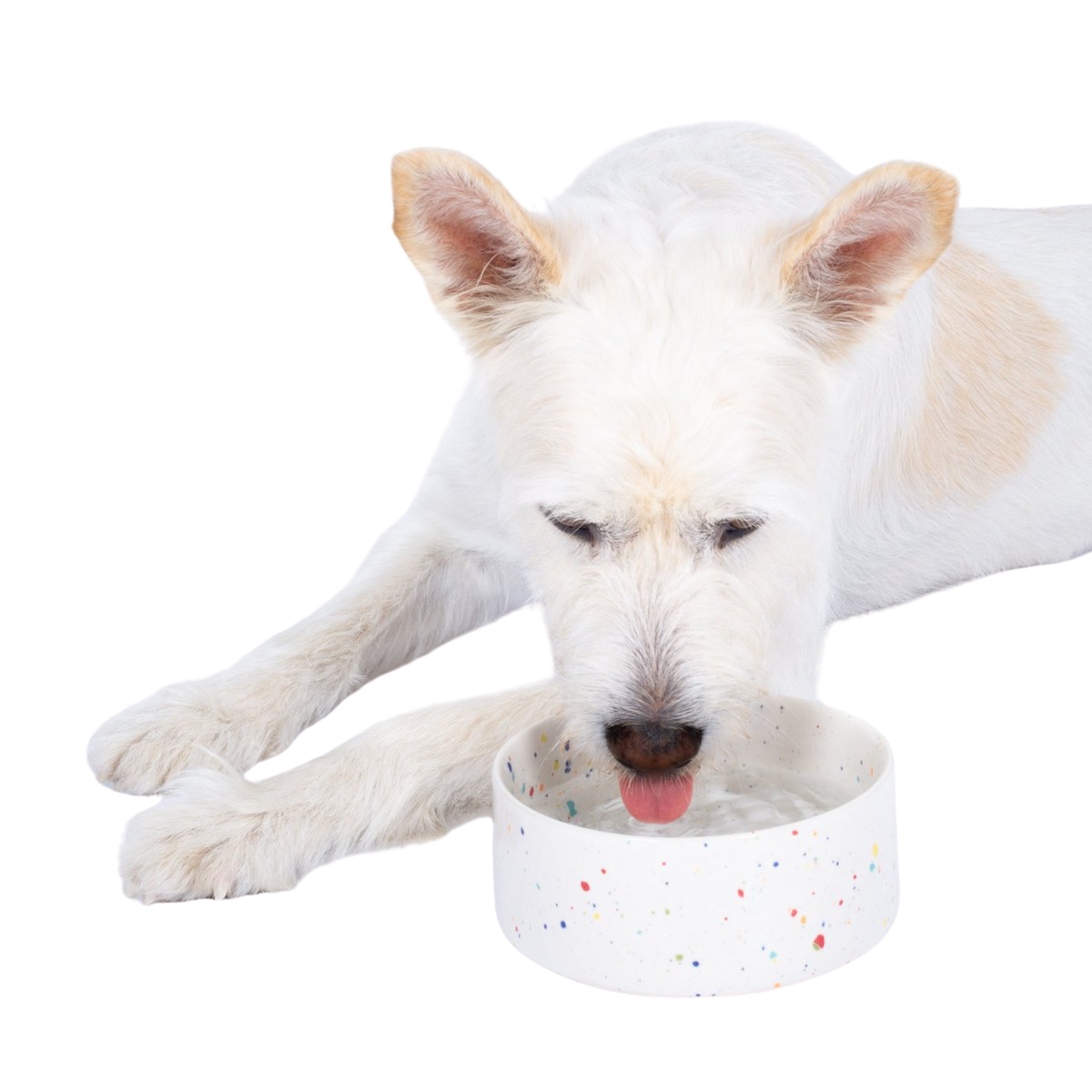 keramik-hundenapf-katzennapf-egg-back-home-party-16cm